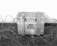 Fernando Aguiar, The Poetics of Action (1976-2022), 2024 (2/13)